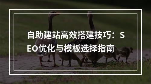 自助建站高效搭建技巧：SEO优化与模板选择指南