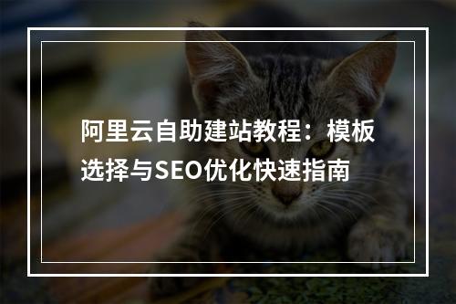 阿里云自助建站教程：模板选择与SEO优化快速指南