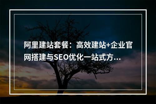 阿里建站套餐：高效建站+企业官网搭建与SEO优化一站式方案