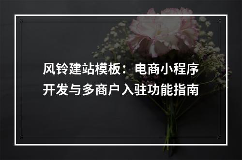 风铃建站模板：电商小程序开发与多商户入驻功能指南