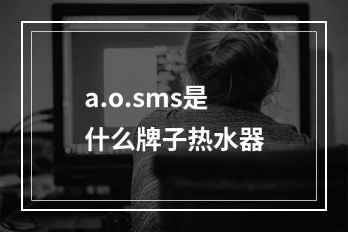 a.o.sms是什么牌子热水器