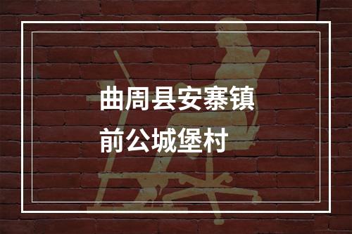 曲周县安寨镇前公城堡村