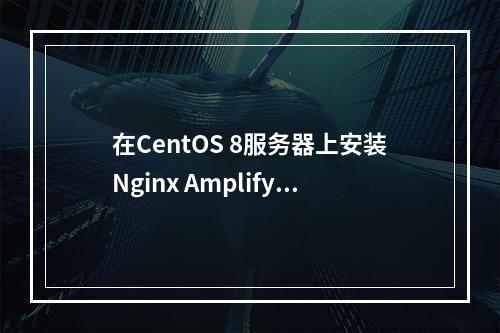 在CentOS 8服务器上安装Nginx Amplify监控LEMP性能