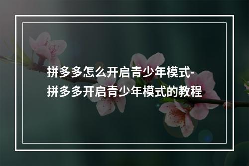拼多多怎么开启青少年模式-拼多多开启青少年模式的教程