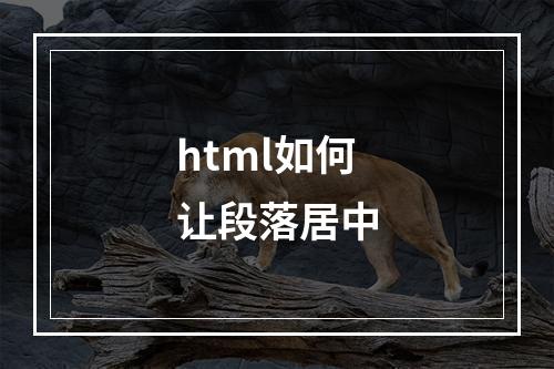 html如何让段落居中