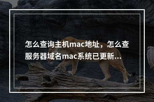 怎么查询主机mac地址,怎么查服务器域名mac系统已更新(查看主机mac地址命令)