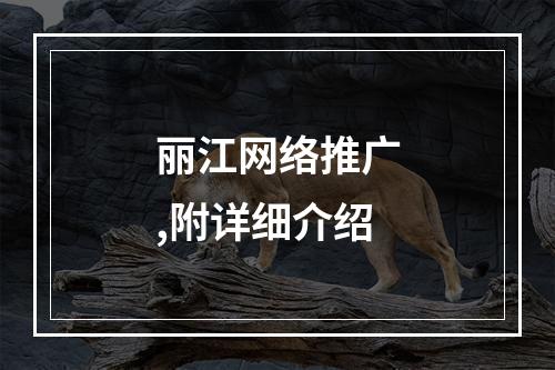 丽江网络推广,附详细介绍