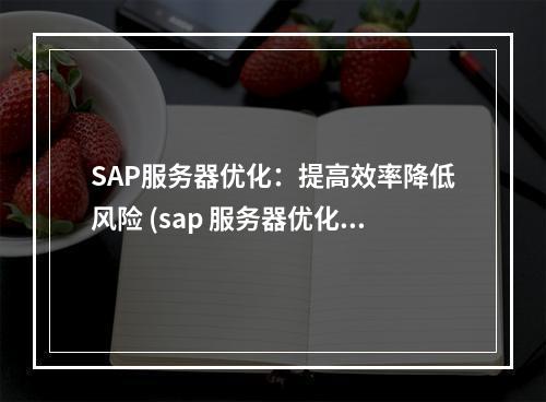 SAP服务器优化:提高效率降低风险 (sap 服务器优化)