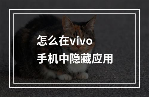 怎么在vivo手机中隐藏应用