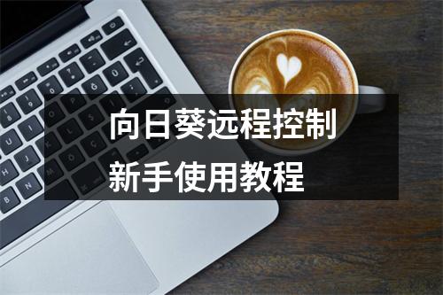向日葵远程控制新手使用教程