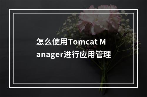 怎么使用Tomcat Manager进行应用管理