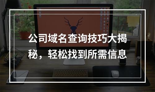 公司域名查询技巧大揭秘,轻松找到所需信息