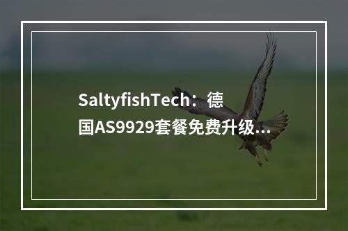 SaltyfishTech:德国AS9929套餐免费升级,季付85折,$19/季度,2核/1GB内存/15GB SSD/1.15TB流量/300Mbps带宽