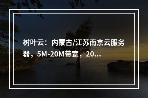 树叶云:内蒙古/江苏南京云服务器,5M-20M带宽,20G防御,20元/月起