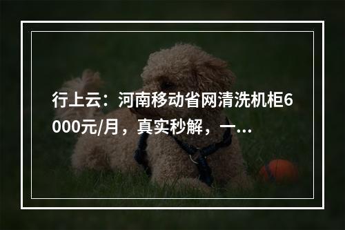 行上云:河南移动省网清洗机柜6000元/月,真实秒解,一秒的秒解,赠送带宽200M和IPv4 64个,可选上层封UDP