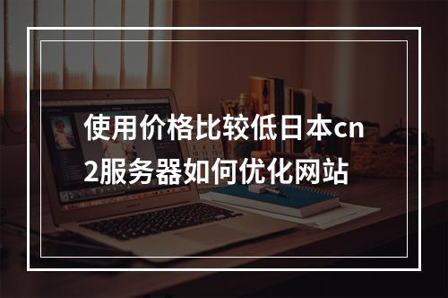 使用价格比较低日本cn2服务器如何优化网站