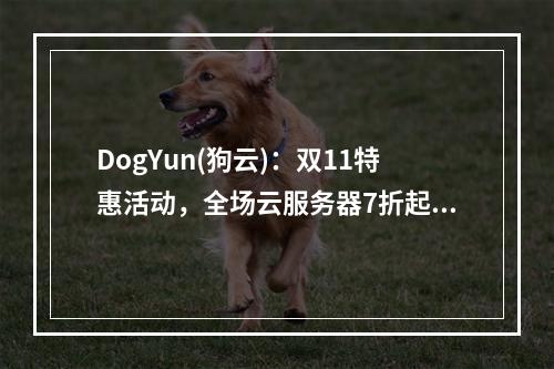 DogYun(狗云):双11特惠活动,全场云服务器7折起,物理独服务器立减100元/月,每充11送1元,香港便宜云低至168元/年
