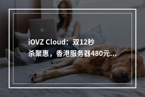 iOVZ Cloud:双12秒杀聚惠,香港服务器480元/月起、100Mbps带宽,韩国SK机房VPS七折48元/月起(韩国原生IP)