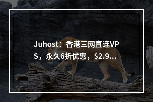 Juhost:香港三网直连VPS,永久6折优惠,$2.99/月,1G内存/1核/20gSSD/1T流量/100M带宽