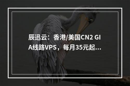辰迅云:香港/美国CN2 GIA线路VPS,每月35元起,2核/1G内存/50Gssd硬盘,不限流量,可选Windows/Linux系统