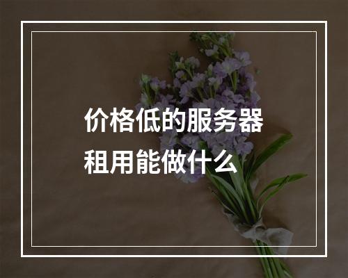 价格低的服务器租用能做什么