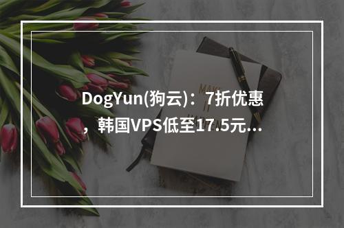DogYun(狗云):7折优惠,韩国VPS低至17.5元/月,三网直连,1G内存/1核/20gSSD/500G流量
