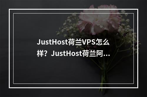 JustHost荷兰VPS怎么样?JustHost荷兰阿姆斯特丹VPS带宽质量及流媒体解锁测评结果