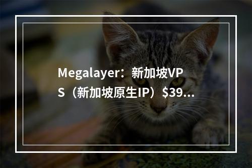 Megalayer:新加坡VPS(新加坡原生IP)$39/年(新加坡原生本土IP、高端CN2网络)