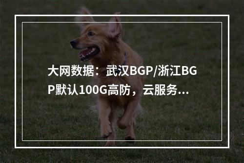 大网数据:武汉BGP/浙江BGP默认100G高防,云服务器68元(4G内存/4核/40GSSD/10M带宽),湖北武汉/十堰物理服务器330元/E5-2650v