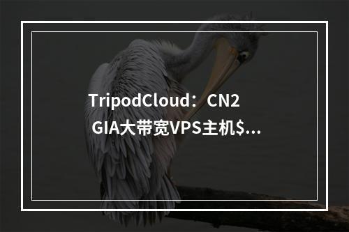 TripodCloud:CN2 GIA大带宽VPS主机$63/年起,三年付配置翻倍,可选大硬盘VPS