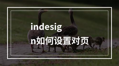 indesign如何设置对页
