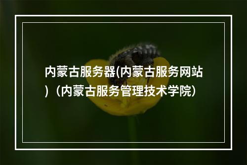 内蒙古服务器(内蒙古服务网站)(内蒙古服务管理技术学院)