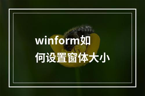 winform如何设置窗体大小