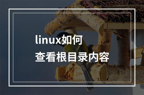 linux如何查看根目录内容
