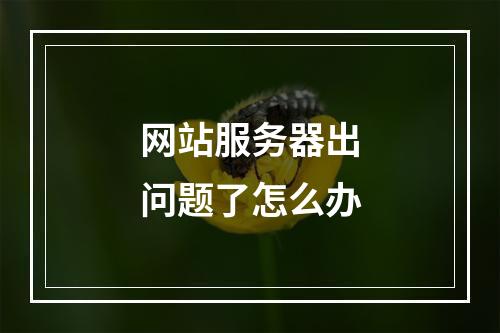 网站服务器出问题了怎么办