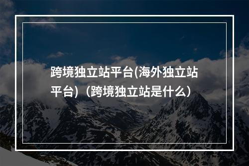跨境独立站平台(海外独立站平台)(跨境独立站是什么)