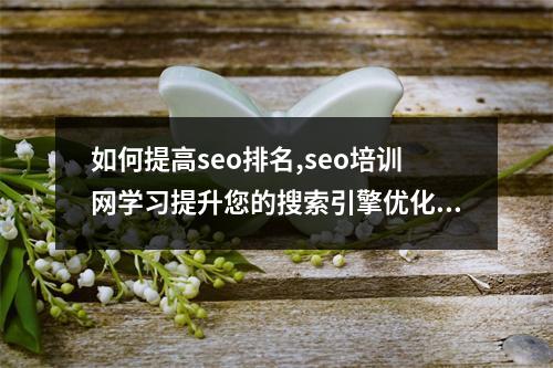 如何提高seo排名,seo培训网学习提升您的搜索引擎优化技能