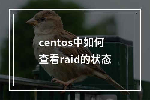centos中如何查看raid的状态