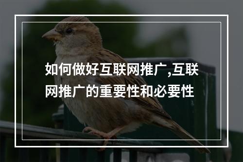 如何做好互联网推广,互联网推广的重要性和必要性