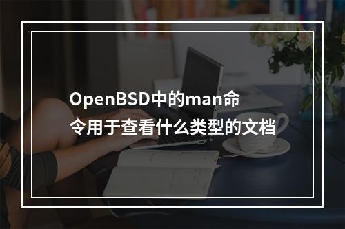 OpenBSD中的man命令用于查看什么类型的文档