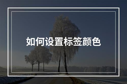 如何设置标签颜色