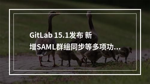 GitLab 15.1发布 新增SAML群组同步等多项功能