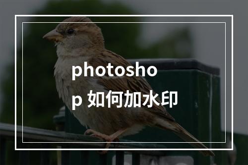 photoshop 如何加水印