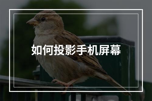 如何投影手机屏幕