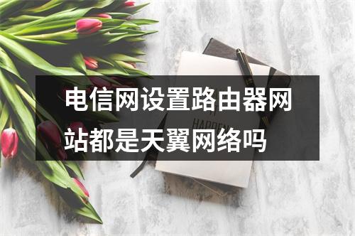 电信网设置路由器网站都是天翼网络吗