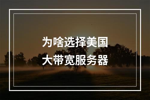 为啥选择美国大带宽服务器