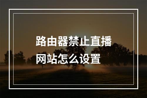 路由器禁止直播网站怎么设置