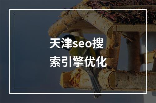 天津seo搜索引擎优化