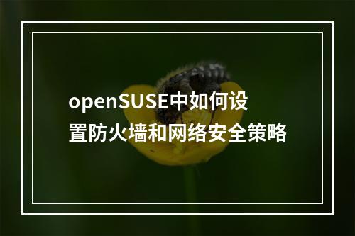 openSUSE中如何设置防火墙和网络安全策略