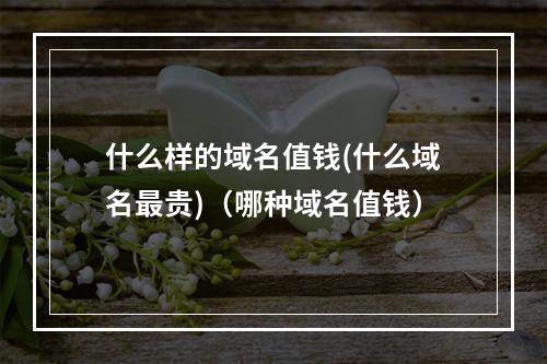 什么样的域名值钱(什么域名最贵)(哪种域名值钱)